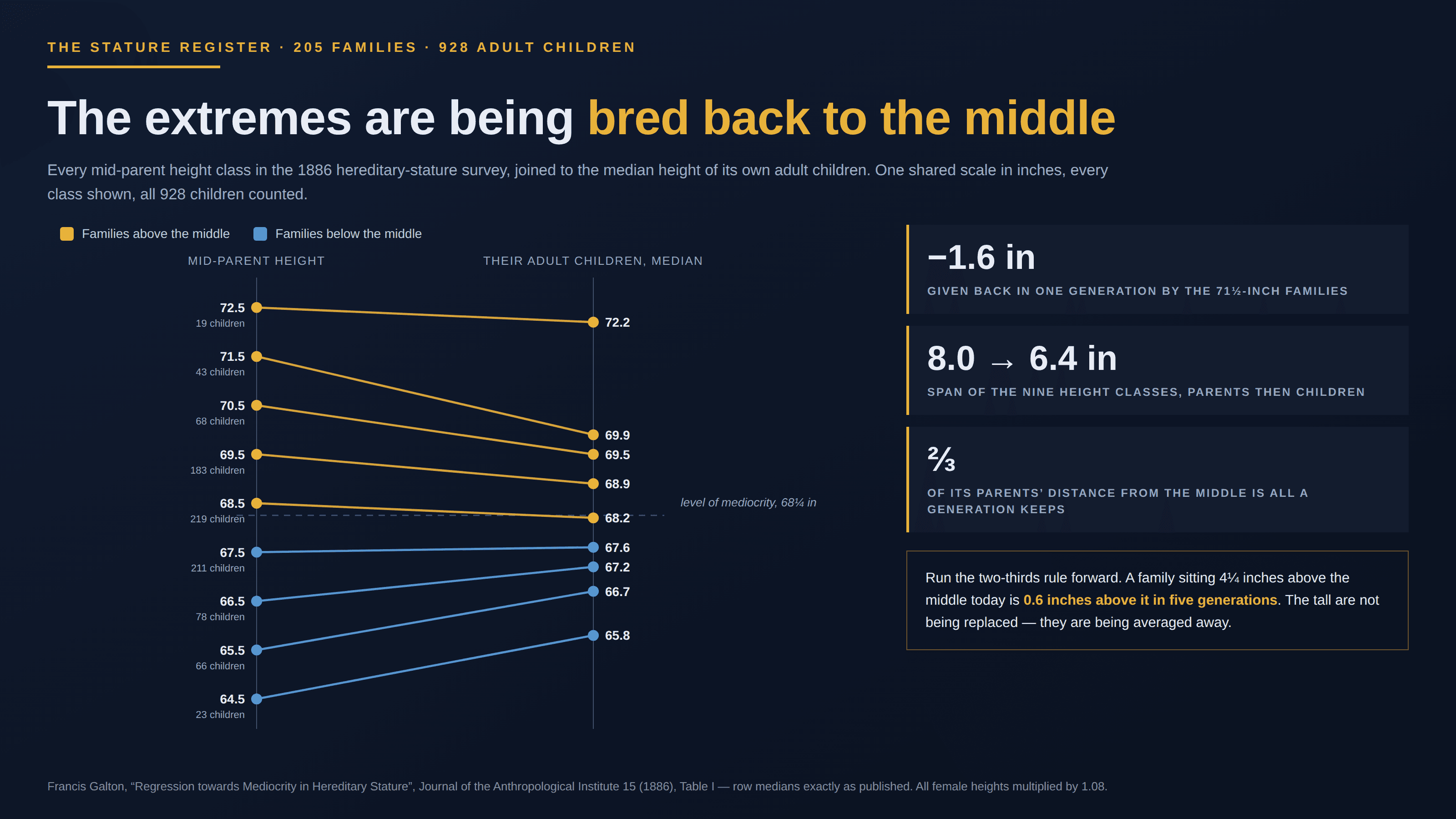 Dark navy slide, masthead “The Stature Register · 205 families · 928 adult children”, headlined “The extremes are being bred back to the middle”. A subhead reads “Every mid-parent height class in the 1886 hereditary-stature survey, joined to the median height of its own adult children. One shared scale in inches, every class shown, all 928 children counted.” A slope chart has two vertical columns: mid-parent height on the left, the median height of their adult children on the right. Nine gold and blue lines run between them: 72.5 to 72.2 (19 children), 71.5 to 69.9 (43), 70.5 to 69.5 (68), 69.5 to 68.9 (183), 68.5 to 68.2 (219), 67.5 to 67.6 (211), 66.5 to 67.2 (78), 65.5 to 66.7 (66) and 64.5 to 65.8 (23). Gold lines mark families above the middle and blue ones families below; a dashed rule crosses the chart at the level of mediocrity, 68¼ inches, and every line leans toward it. Three stat cards down the right side read −1.6 in given back in one generation by the 71½-inch families, 8.0 → 6.4 in span of the nine height classes parents then children, and ⅔ of its parents’ distance from the middle is all a generation keeps. A gold note box adds “Run the two-thirds rule forward. A family sitting 4¼ inches above the middle today is 0.6 inches above it in five generations. The tall are not being replaced — they are being averaged away.” A footnote credits Francis Galton, “Regression towards Mediocrity in Hereditary Stature”, Journal of the Anthropological Institute 15 (1886), Table I, row medians exactly as published, all female heights multiplied by 1.08.