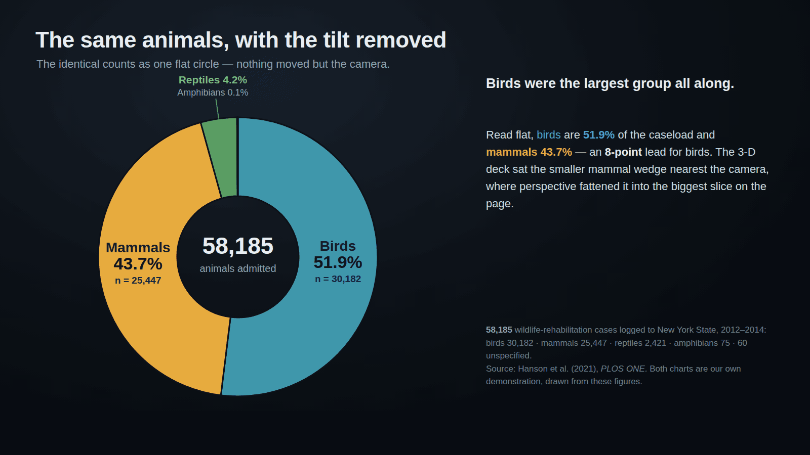The identical counts as a flat top-down donut with nothing but the camera changed: Birds are the largest wedge at 51.9% (30,182), Mammals second at 43.7% (25,447), with Reptiles 4.2% (2,421) and Amphibians 0.1% (75) at the top and 58,185 animals admitted in the centre; a note explains birds led by eight points all along and the 3-D deck only looked otherwise because the smaller mammal slice sat nearest the viewer